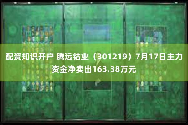 配资知识开户 腾远钴业（301219）7月17日主力资金净卖出163.38万元