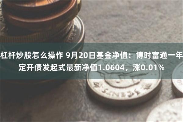 杠杆炒股怎么操作 9月20日基金净值：博时富通一年定开债发起式最新净值1.0604，涨0.01%