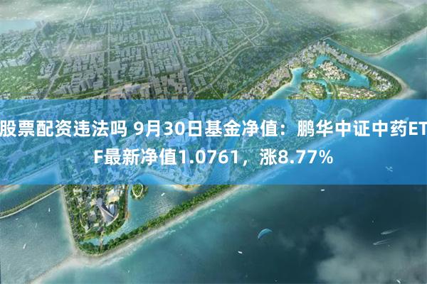 股票配资违法吗 9月30日基金净值：鹏华中证中药ETF最新净值1.0761，涨8.77%