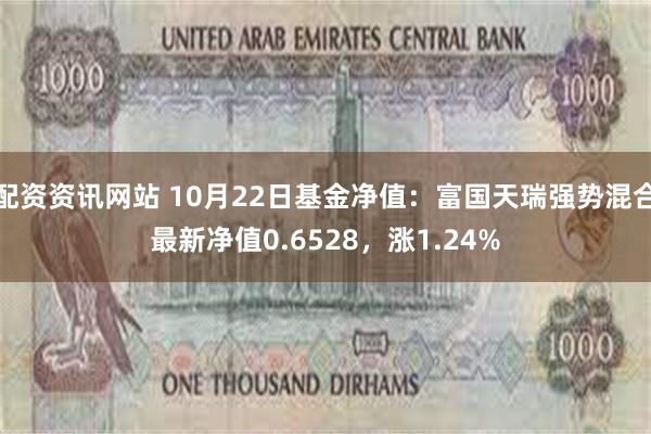 配资资讯网站 10月22日基金净值：富国天瑞强势混合最新净值0.6528，涨1.24%