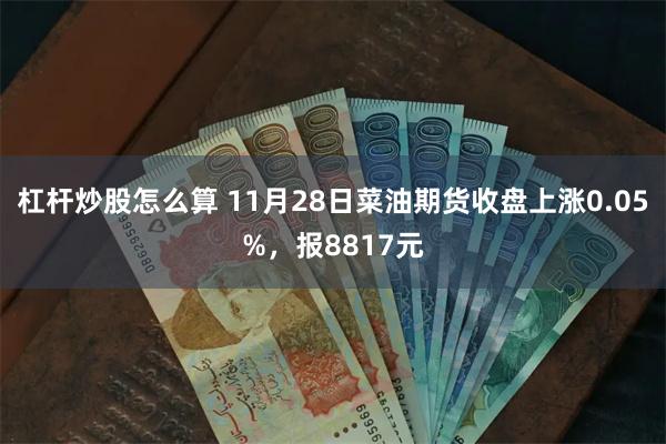 杠杆炒股怎么算 11月28日菜油期货收盘上涨0.05%，报8817元