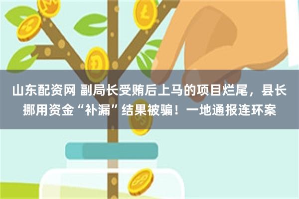 山东配资网 副局长受贿后上马的项目烂尾，县长挪用资金“补漏”结果被骗！一地通报连环案