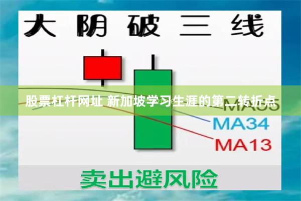 股票杠杆网址 新加坡学习生涯的第二转折点